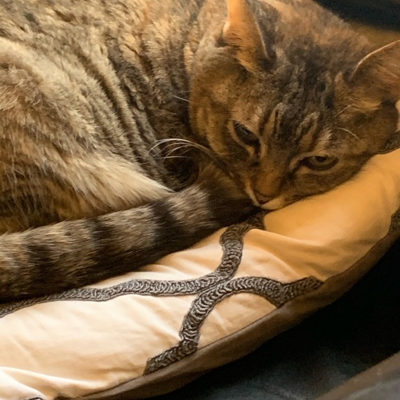 Meet your Posher, Krystal - Picture 5 of 7